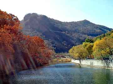 澳门二四六天天彩图库，自粘卷材